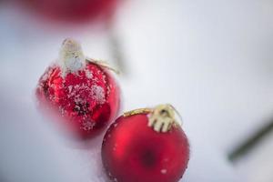 bolas de navidad rojas en nieve fresca foto
