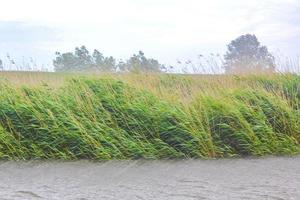 Heavy rain storm clouds wind waves water Oste river Germany. photo