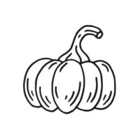 Pumpkin. Hand drawn vector illustration in doodle style. Black and white image of vegetables.