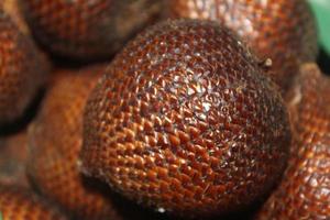 salak fruit, how many salak fruit, salak fruit in plastic photo