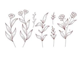 Rustic brown flower and isolated floral leaves clipart vector illustration set