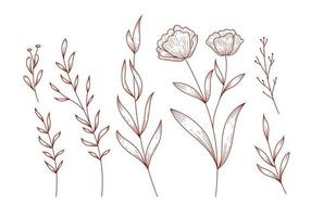 Rustic Hand drawn leaves floral flower isolated clipart illustration Vector