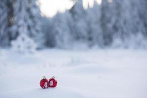 christmas ball in snow photo