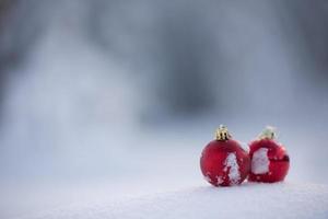 christmas ball in snow photo