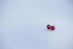 christmas ball in snow photo