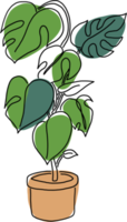 Simplicity monstera plant freehand drawing flat design. png