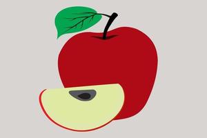 Vector red apple illustration