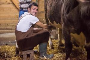 granjero ordeñando vacas lecheras a mano foto