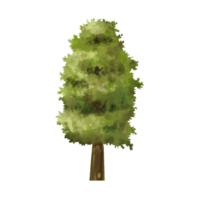 tree cartoon in painting style png