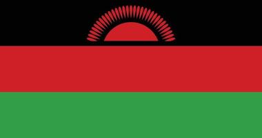 Malawi flag with original RGB color vector illustration design