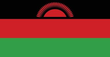 Malawi flag with original RGB color vector illustration design