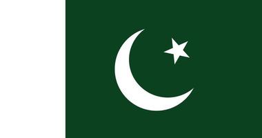 Pakistan flag with original RGB color vector illustration design