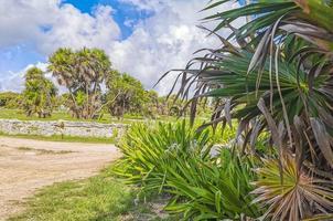 antiguo tulum ruinas maya sitio templo pirámides artefactos paisaje marino méxico. foto