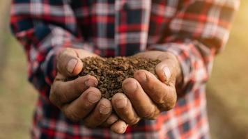 Hands of the gardeners are grabbing the soil to plant the trees. photo