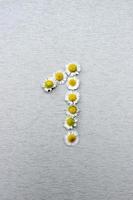 Number 1 of the daisy flower on a gray background. Vertical photo