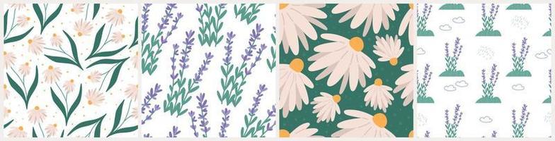 Botanical spring or summer seamless patterns set, flat vector illustration. Chamomile and lavender childish pattern, great for wrapping paper or kids clothes. Floral field or meadown.