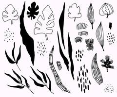 A set of graphic aesthetic plant elements. vector