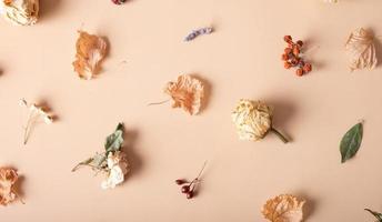 Autumn composition. Pattern made of dried leaves and flowers on pastel beige background. Autumn, fall concept. Flat lay, top view photo