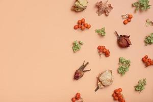 Autumn pattern with dry hydrangea flowers, rowan, roses on orange colored background. Top view, flat lay, copy space photo