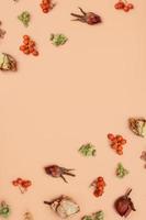 Autumn pattern with dry hydrangea flowers, rowan, roses on orange colored background. Top view, flat lay, copy space photo