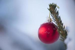 bolas de navidad en el árbol foto