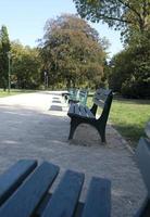 Empty park benches in Dusseldorf on a sunny day photo