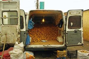 Back of a van filled with potatoes in Tibilisi, Georgia photo