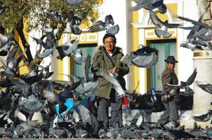 La Paz, Bolivia, 2019 - A man stands in the middle of a city square in La Paz surrounded by pigeons. photo