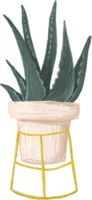 Potted plants bundle, house plants. png