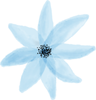 Blue flower floral watercolor for decoration png