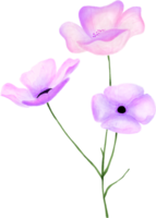 aquarelle florale de fleurs violettes et roses pour la décoration png