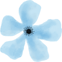 Blumenaquarell der blauen Blume für Dekoration png