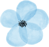 blauw bloem bloemen waterverf voor decoratie png