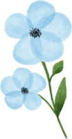 Blumenaquarell der blauen Blume für Dekoration png