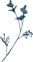 blauw bloem bloemen waterverf voor decoratie png