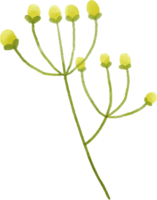 geel bloem bloemen waterverf voor decoratie png