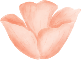 Pink flower floral watercolor for decoration png