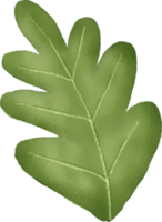 aquarela de folha verde para decoração png