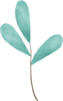 blauw blad waterverf voor decoratie png