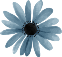 blu fiore floreale acquerello per decorazione png