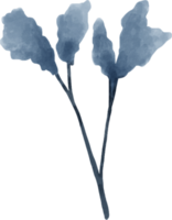 Blumenaquarell der blauen Blume für Dekoration png
