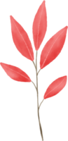 Red leaf watercolor for decoration png