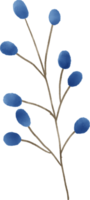 blu fiore floreale acquerello per decorazione png