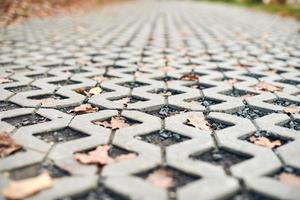 Paving stone with autumn leaves. photo