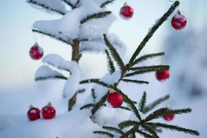 christmas balls on tree photo