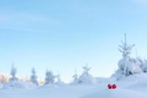 red christmas balls in fresh snow photo