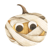 Pumpkin for Halloween. Watercolor illustration. png