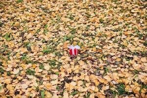 Gift box in autumn fallen leaves on ground in park photo