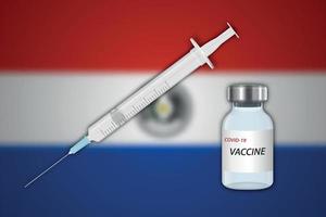 jeringa y vial de vacuna sobre fondo borroso con bandera paraguaya vector