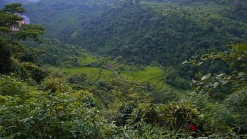 uttarakhands green hills image hd, photo